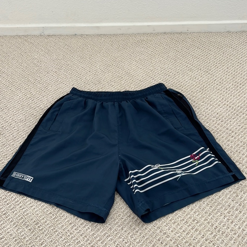 Barry’s Bootcamp 7” Surge shorts. Worn once